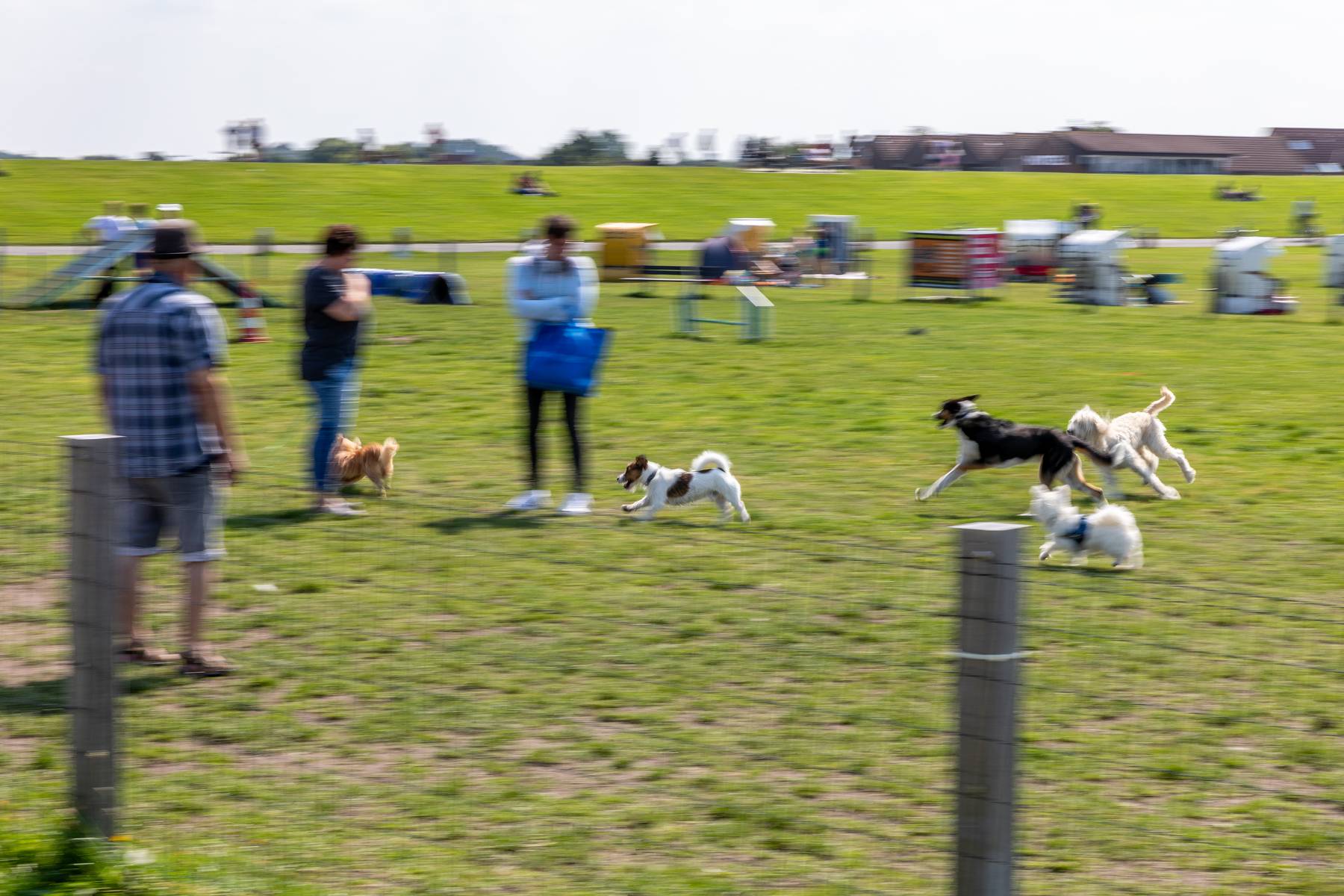 Hundestrand Norddeich